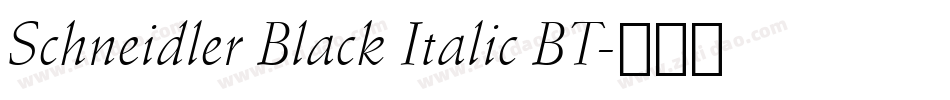 Schneidler Black Italic BT字体转换